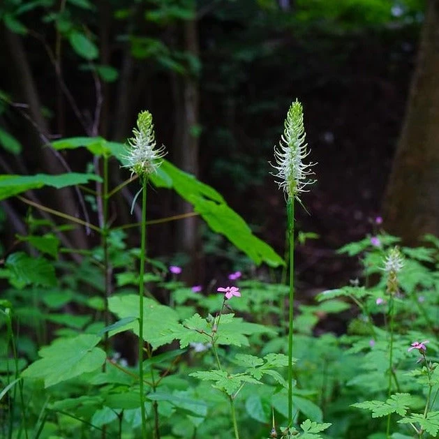 FuturePlanter Verkäufe 2022 -FuturePlanter Verkäufe