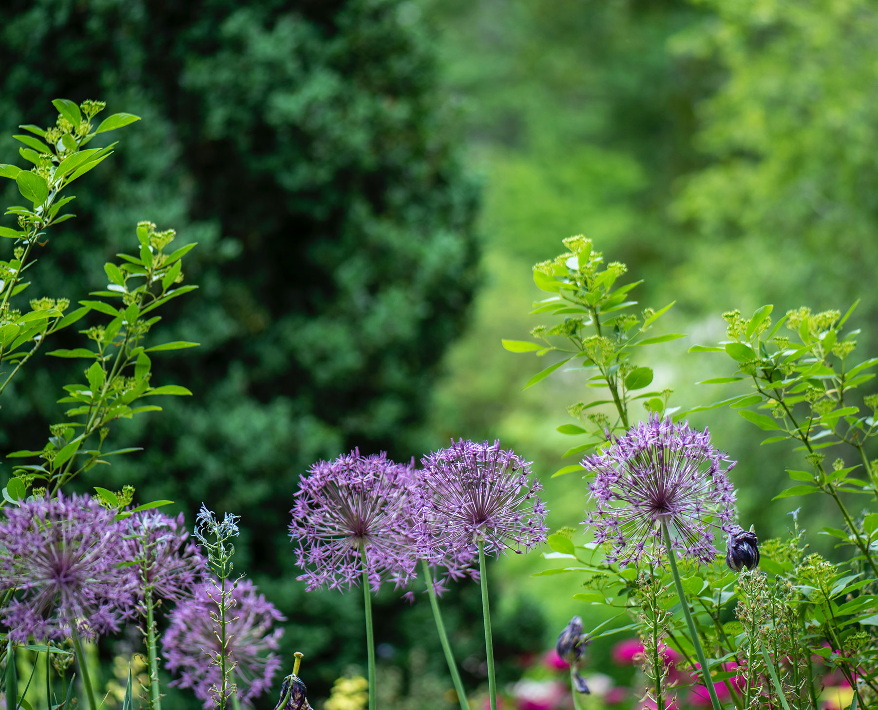 FuturePlanter Verkäufe 2022 -FuturePlanter Verkäufe bg stage large